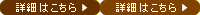 ���t�H�[������ڍ�
